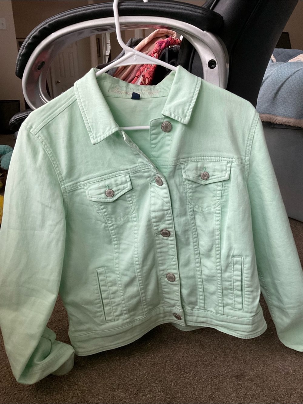 American Eagle Outfitters Mint Green Denim Jacket